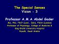 The Special Senses Vision - 3 PowerPoint PPT Presentation