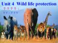 Unit 4 Wild life protection PowerPoint PPT Presentation