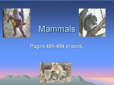 Mammals