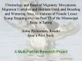 Chronology and Rates of Migratory Movements, Migration Corridors and Habitats Used, and Breeding and Wintering Area Affiliations of Female Lesser Scaup Stopping-over on Pool 19 of the Mississippi River in Spring Some Preliminary Results from a Pilot PowerPoint PPT Presentation