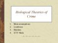 Biological Theories of Crime PowerPoint PPT Presentation