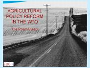 AGRICULTURAL POLICY REFORM IN THE WTO