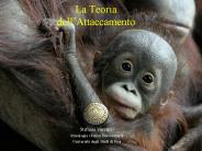 Presentazione di PowerPoint