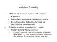 Models of Crowding PowerPoint PPT Presentation