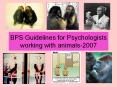 BPS Guidelines for Psychologists working with animals-2007 PowerPoint PPT Presentation