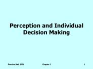 Perception and Individual Decision Making