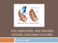 Pus (Abscesses, and sinuses) wound, and Burn Cultures PowerPoint PPT Presentation