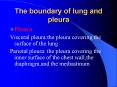 The boundary of lung and pleura PowerPoint PPT Presentation