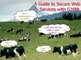 A Guide to Secure Web Services with GJXML PowerPoint PPT Presentation