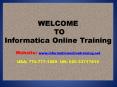 Informatica Online Training and Placement Assistance PowerPoint PPT Presentation