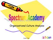 Organizational Culture Analysis