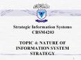 Strategic Information Systems CBSM4203  TOPIC 4: NATURE OF INFORMATION SYSTEM STRATEGY PowerPoint PPT Presentation