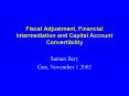 Fiscal Adjustment, Financial Intermediation and Capital Account Convertibility PowerPoint PPT Presentation
