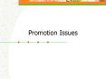 Promotion Issues PowerPoint PPT Presentation