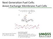 Next Generation Fuel Cells: