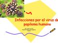 Infecciones por el virus del papiloma humano PowerPoint PPT Presentation
