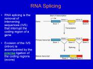 RNA Splicing PowerPoint PPT Presentation