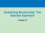 Sustaining Biodiversity: The Species Approach