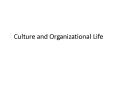 Culture and Organizational Life PowerPoint PPT Presentation