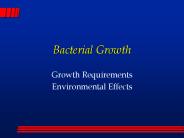 Bacterial Growth