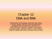 Chapter 12 DNA and RNA