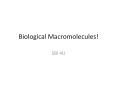 Biological Macromolecules! PowerPoint PPT Presentation