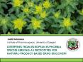 Diterpenes from European Euphorbia Species Serving as Prototypes for Natural-Product-Based Drug Discovery PowerPoint PPT Presentation