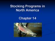 Stocking Programs in North America Chapter 14