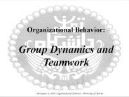 Organizational Behavior: Group Dynamics and Teamwork