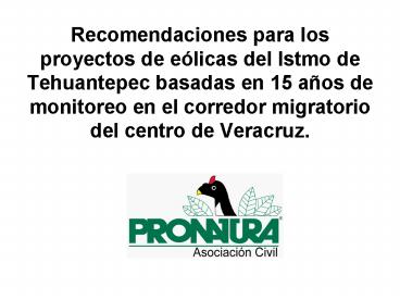 Recomendaciones para los proyectos de e