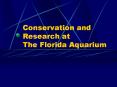Conservation and Research at The Florida Aquarium PowerPoint PPT Presentation