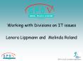 Working with Divisions on IT issues PowerPoint PPT Presentation