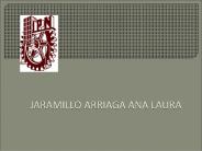 JARAMILLO ARRIAGA ANA LAURA