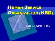 HUMAN SERVICE ORGANIZATION (HSO)