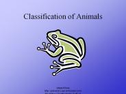 Classification of Animals
