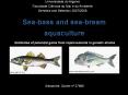 Sea-bass and sea-bream aquaculture PowerPoint PPT Presentation