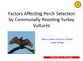 Factors Affecting Perch Selection by Communally Roosting Turkey Vultures PowerPoint PPT Presentation