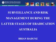 SURVEILLANCE AND RISK