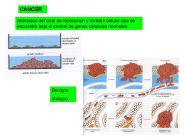 Diapositiva 1