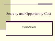 Scarcity and Opportunity Cost