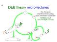 DEB theory micro-lectures PowerPoint PPT Presentation