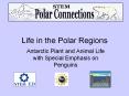Life in the Polar Regions PowerPoint PPT Presentation