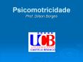 Psicomotricidade Prof. Dilson Borges PowerPoint PPT Presentation
