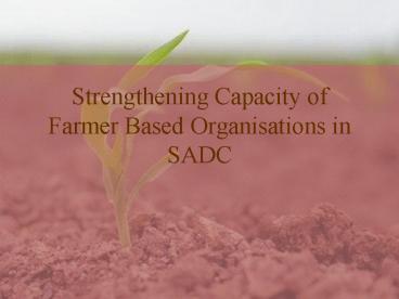 Strengthening Capacity of Farmer Based Organisations in SADC
