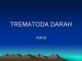 TREMATODA DARAH Adrial PowerPoint PPT Presentation