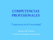 COMPETENCIAS PROFESIONALES