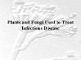 Plants and Fungi Used to Treat Infectious Disease PowerPoint PPT Presentation