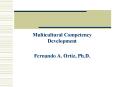 Multicultural Competency Development PowerPoint PPT Presentation