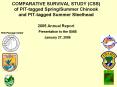 COMPARATIVE SURVIVAL STUDY (CSS) of PIT-tagged Spring/Summer Chinook and PIT-tagged Summer Steelhead 2005 Annual Report PowerPoint PPT Presentation