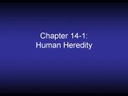 Chapter 14-1: Human Heredity